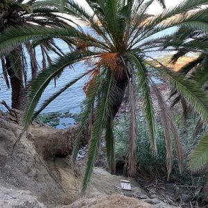 Meet your Posher, Eve